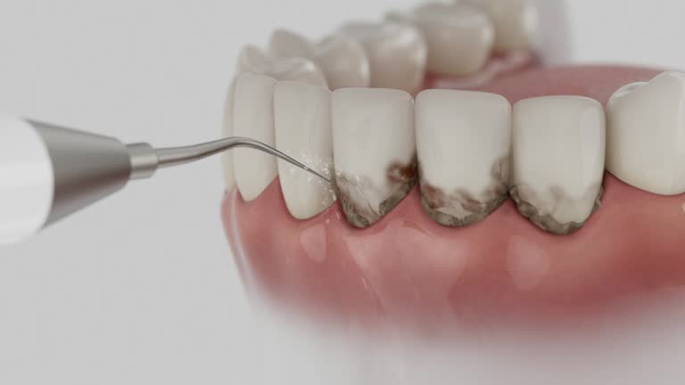 Reliable Dental contractor in Brown County County, IL by Dentist Open Now